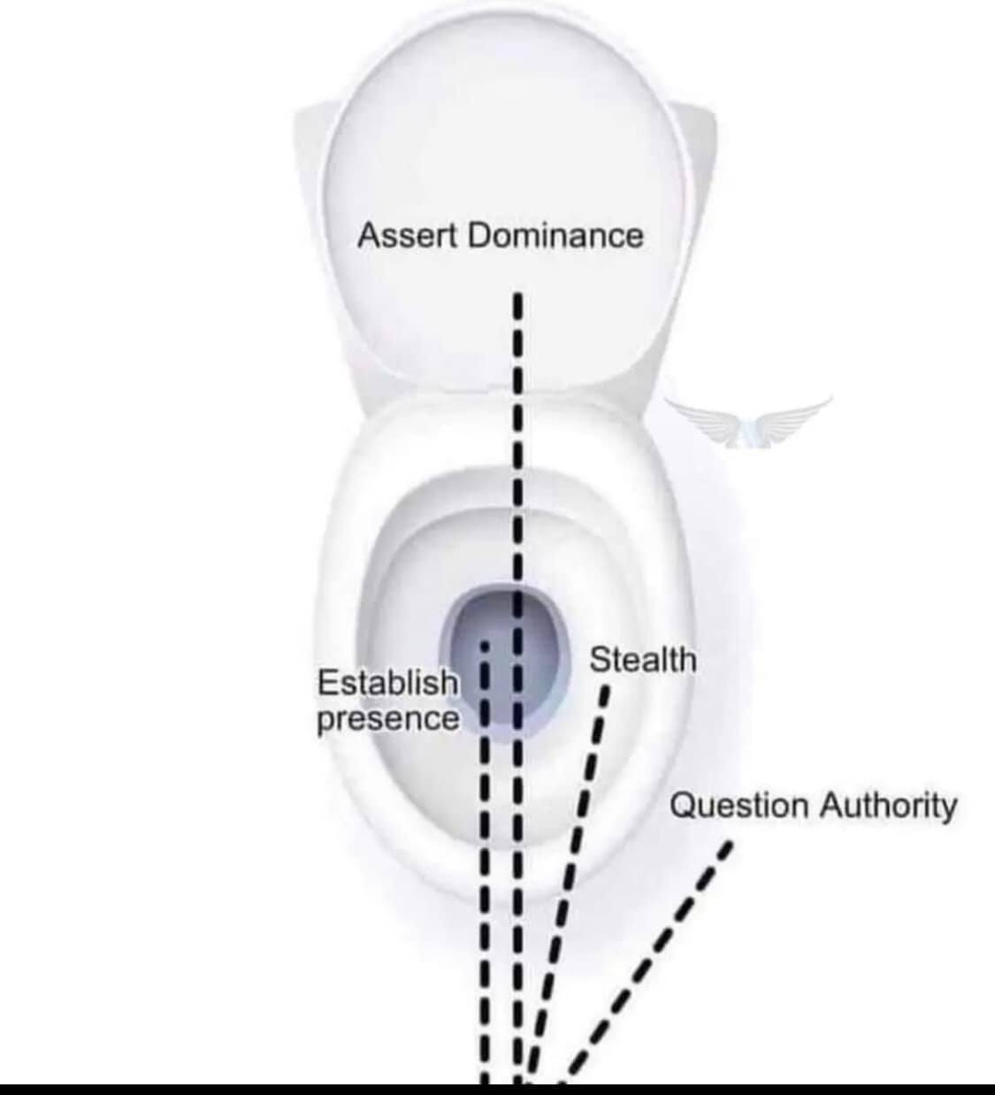 This meme is an image of a toilet with a diagram illustrating the different levels of internet commenting. The text in the image reads: "Lurker, Commenter, Troll, Lurker (again), Commenter (again), Troll (again), Lurker (again, again), Commenter (again, again), Troll (again, again, again), Lurker (forever)".